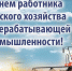 День работников сельского хозяйства и перерабатывающей промышленности - Дворец Культуры