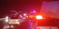 Водитель фуры, виновный в смертельном ДТП под Михайловкой, арестован до марта 2026 года - Михайловка24