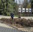 Весеннее преображение: коммунальщики Михайловки наводят порядок в городе - Михайловка24